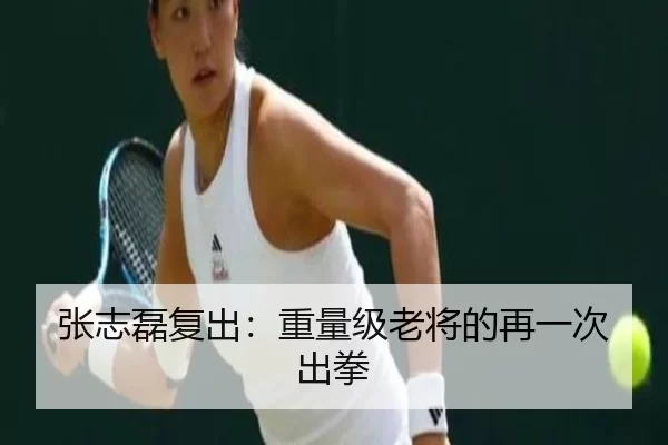 张志磊复出：重量级老将的再一次出拳